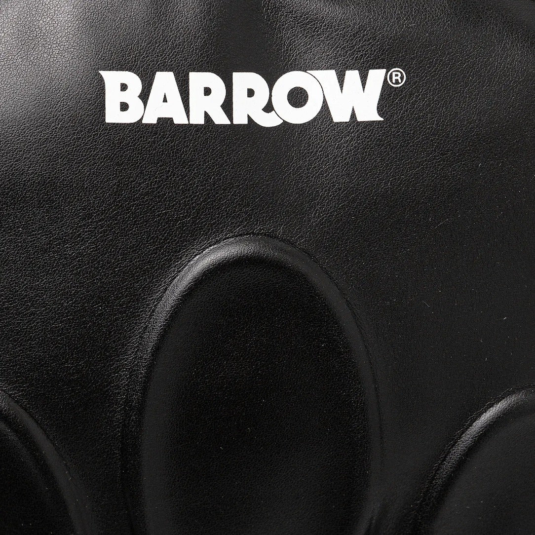 Barrow F5BWUABP090110