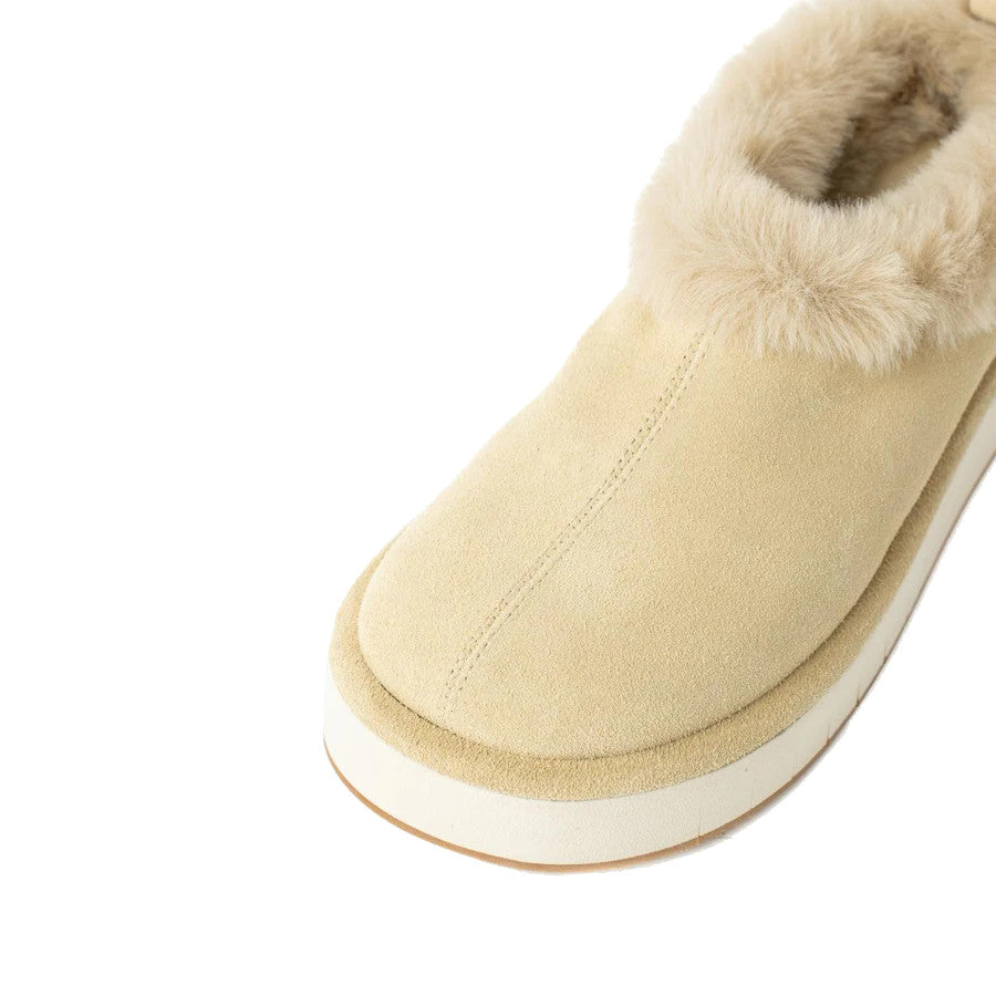 PALOMITAS 29-1202ARTY SUEDE14